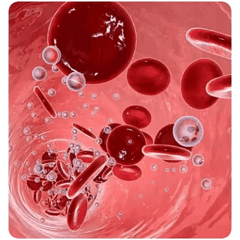 🔥Flash Sale🔥 50K Sold 🔥 Non-Invasive Blood Glucose Meter